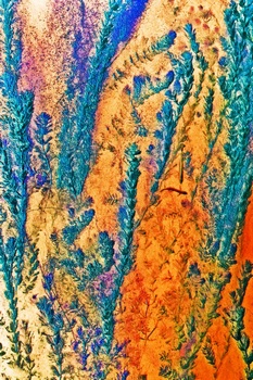 N 042B